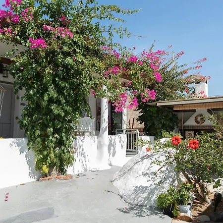 Sunrock - Begonia * Stelida (Naxos)