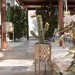 Sunrock - Begonia 3* Naxos City