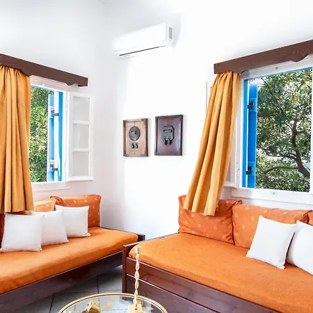 Sunrock - Begonia 3*